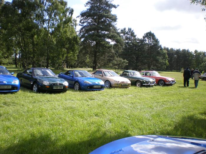 MGs in the trees 2008 cars arriving at Cannock Chase