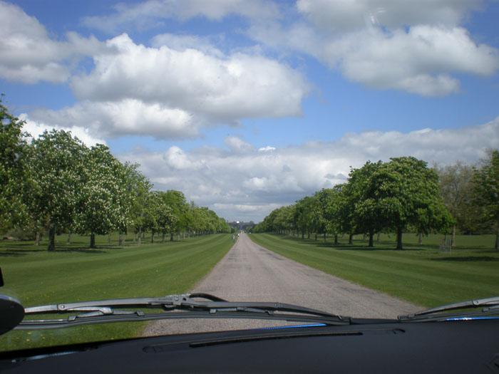 Driving down the Long Walk to Windsor