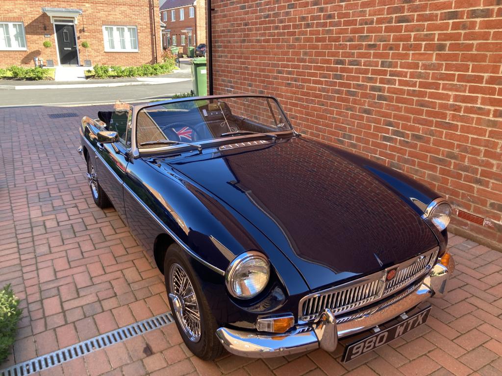 A Thing of Rare Beauty !